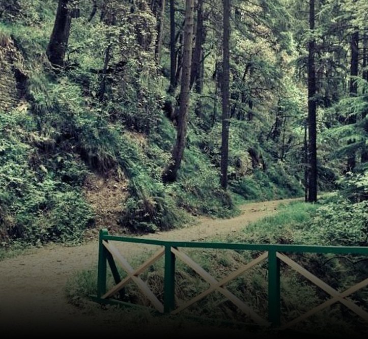 img/shimla-water-catchment